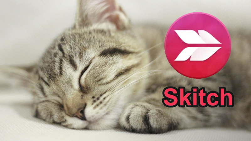 Skitchでキャプチャができない問題（macOS Sonoma）