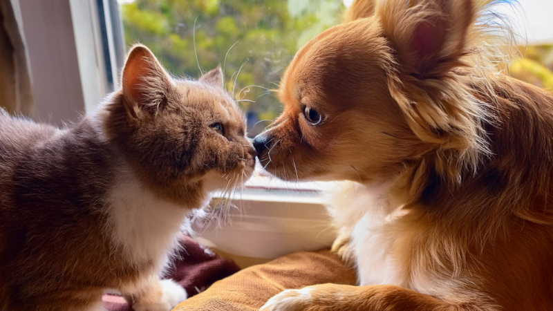 我が家の歴代コンピューター