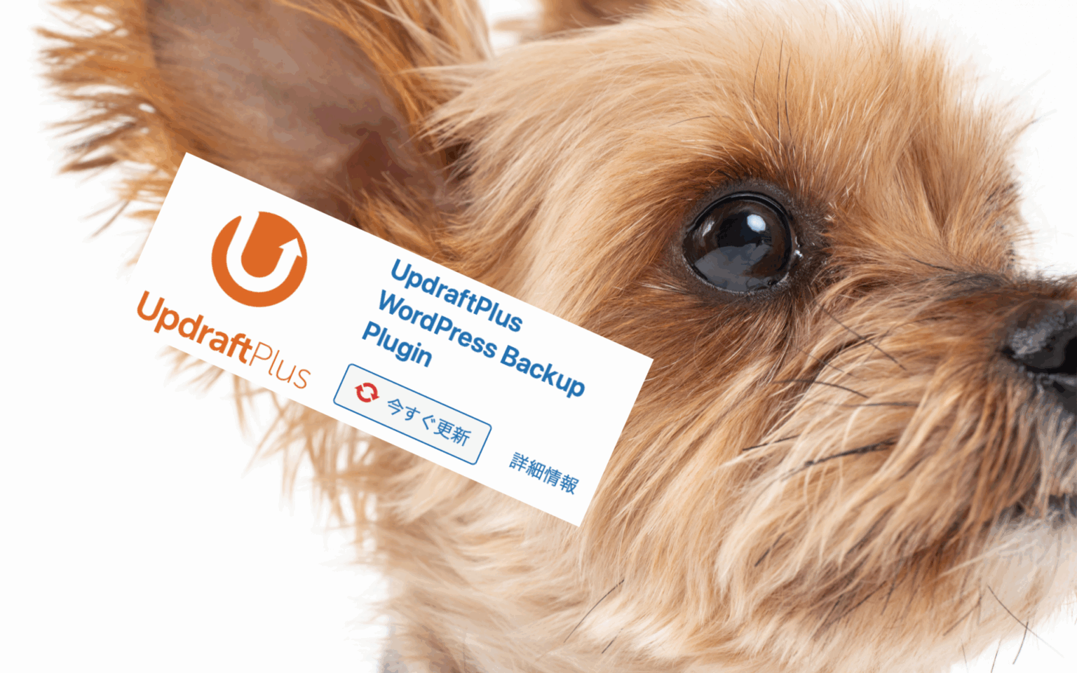 UpdraftPlus WordPress Backup Pluginの使い方