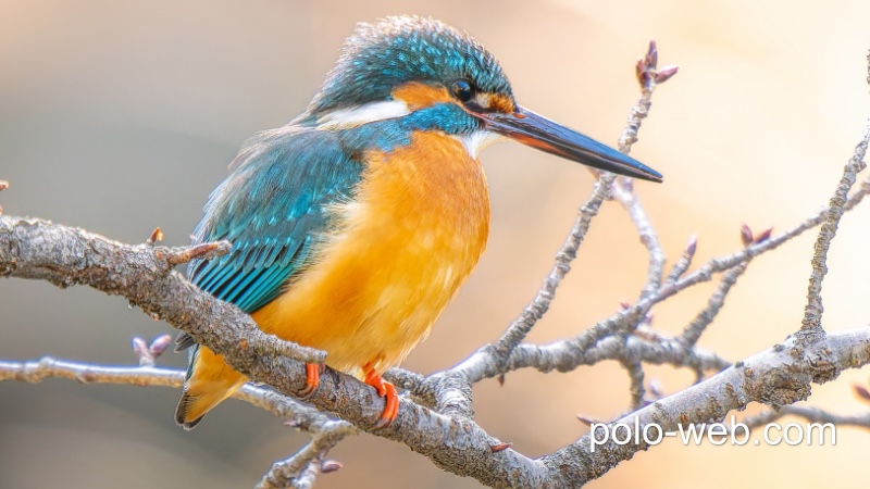 佐世保 九十九島国立公園