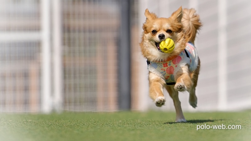 iCloud と iCloud Drive の違いがわかる？