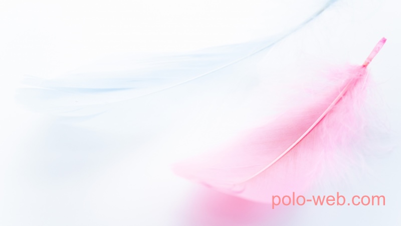 WordPressで別のサイトやLocalアプリで作成した画像をコピーして使う場合は要注意！