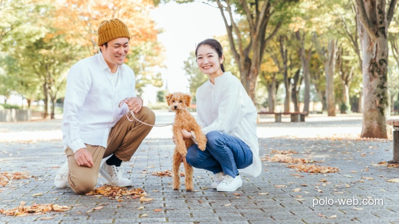 「Media File Renamer」で手動で名前を変更する