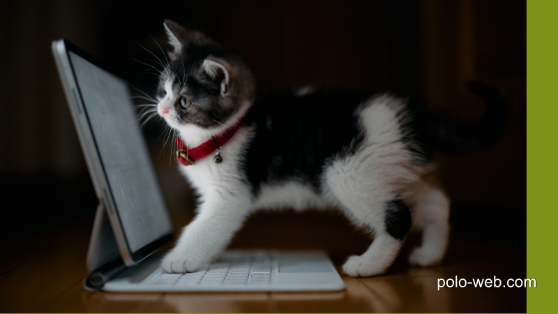 現在メンテナンス中のため、しばらくの間ご利用いただけませんのエラーの処理方法について