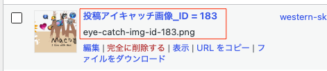 画像のアップロード時、メディアライブラリでどのように表示されるのか（fanction.phpに入れた場合）