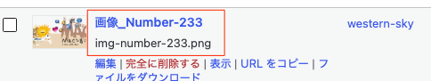 画像のアップロード時、メディアライブラリでどのように表示されるのか（fanction.phpに入れた場合）