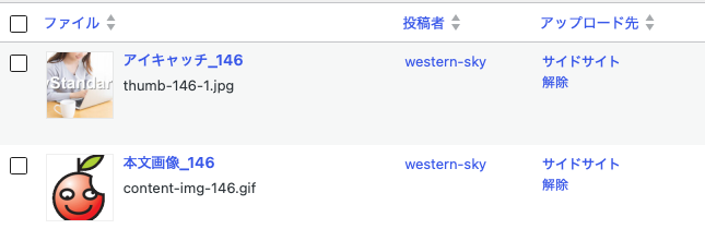 画像のアップロード時、メディアライブラリでどのように表示されるのか（fanction.phpに入れた場合）