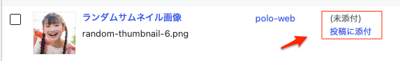 WP Random Post Thumbnails の画像について